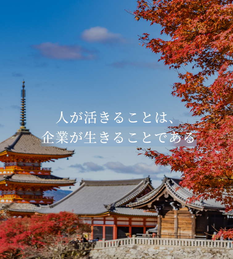 mv_sp